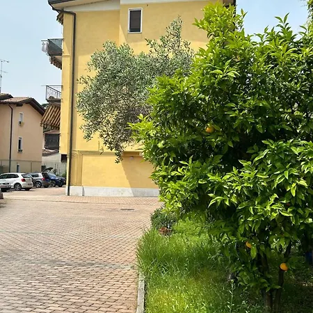 Lorenzini
